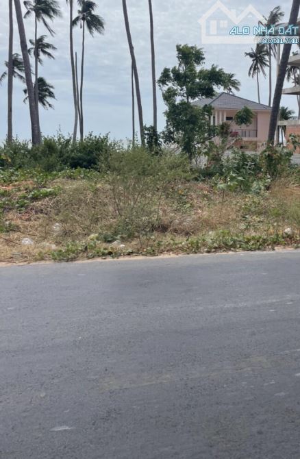 Bán đất hàm liêm hàm thuận bắc giá đầu tư - 1