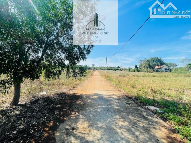 1sào3 Đất Xã Sơn Bình Gần Khu Dân Cư, Đường Ô Tô , Giá Chỉ 950triệu - 2