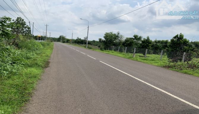 Bán Lô đất 2500m2 đất đường nhựa , Bình Dương  giá 750 triệu,sổ hồng - 2