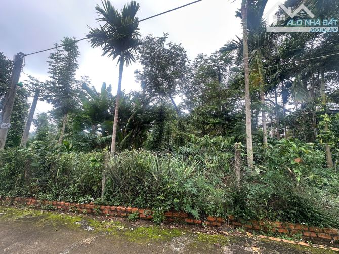6x20m ĐẤT THỔ CƯ NGAY CẦU BÀ DẦN GIÁP HOÀ THẮNG GIÁ RẺ - 3