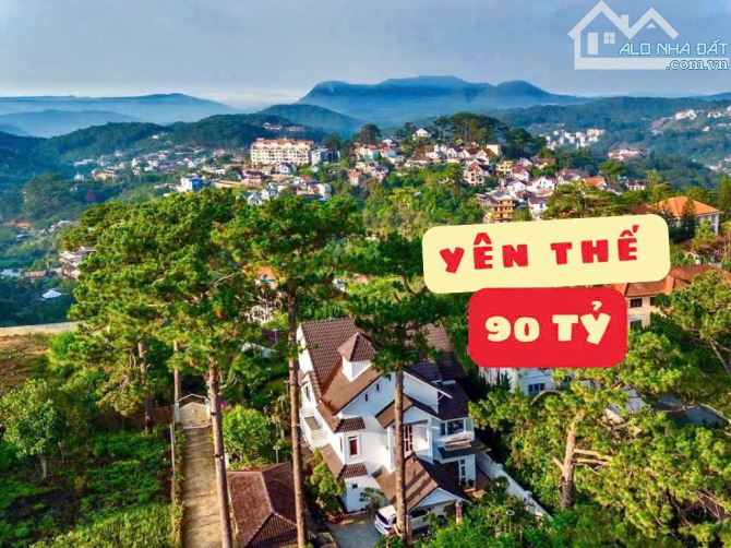 🏡⛺️🏞 TỔNG HỢP CÁC NGÔI NHÀ / BIỆT THỰ SÂN VƯỜN ĐẬM CHẤT ĐÀ LẠT - PHÙ HỢP NGHỈ DƯỠNG - 3