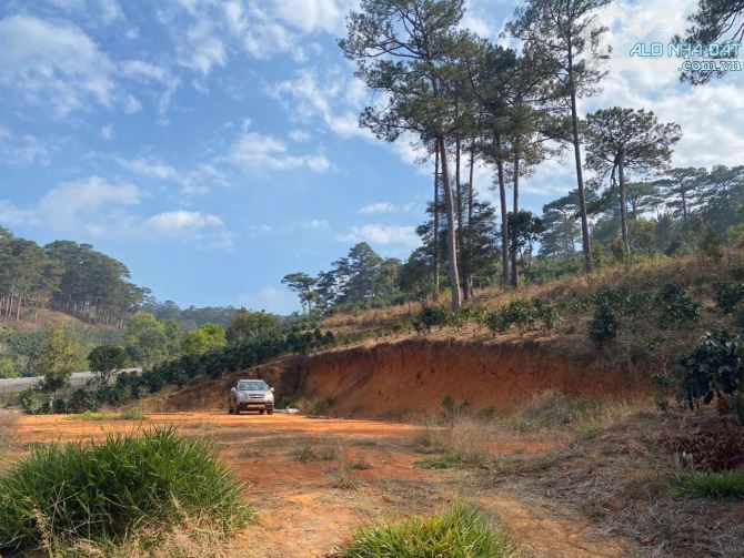 7000m2 đất nn giáp rừng thông, view săn mây, tại Xuân Trường- Đà Lạt - 3