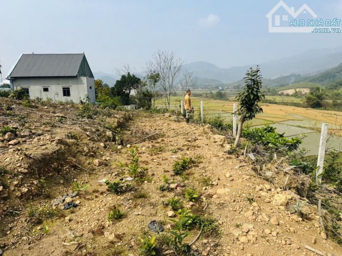 1733M2 4,5 TRIỆU/M2 VIEW CÁNH ĐỒNG ĐẸP HOÀ LẠC - 3