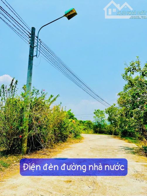 Lâm Đồng bán lô đất sẵn thổ cư tặng hàng rào xinh đẹp - 4