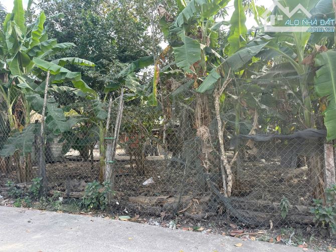 🔵6x20(120m2) Hẻm Trưng Trắc, Tân An, LaGi Giá 1 Tỷ - 5