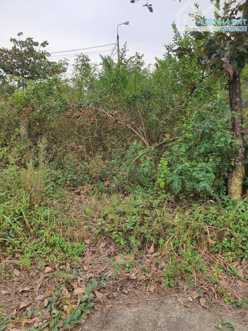 Bán đất khu công nghiệp Bảo Minh 100m mặt 5.5m giá 2.050 có tl - 6