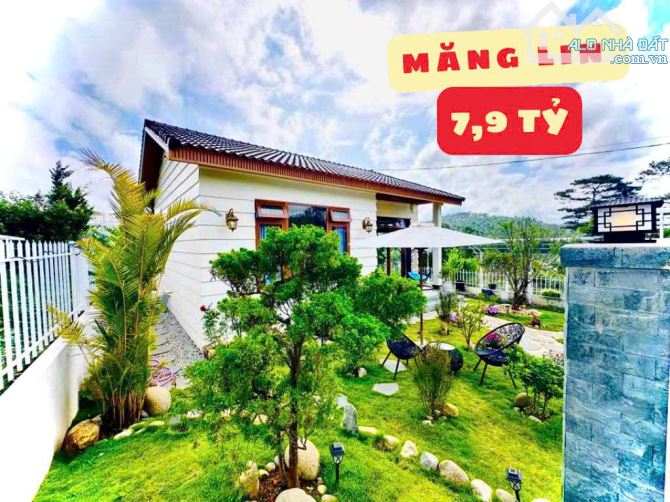 🏡⛺️🏞 TỔNG HỢP CÁC NGÔI NHÀ / BIỆT THỰ SÂN VƯỜN ĐẬM CHẤT ĐÀ LẠT - PHÙ HỢP NGHỈ DƯỠNG - 8