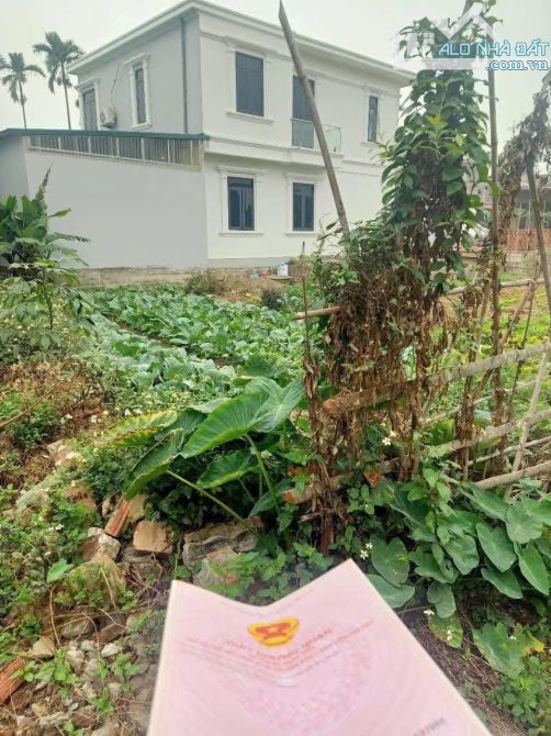 Bán đất Phường Trần Hưng Đạo cách đường Ql10 chỉ 100m,đường 6m oto đỗ cửa.