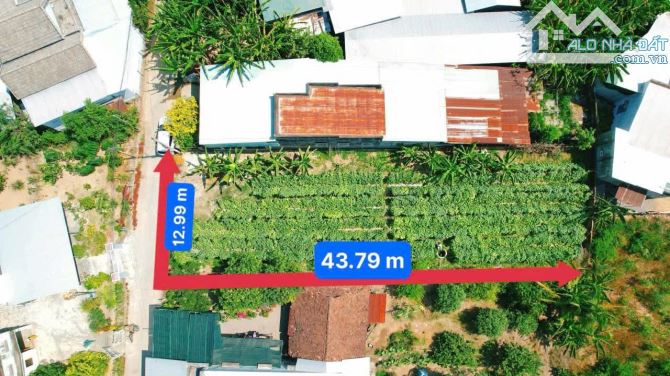 Bán 561m2 (230m2 ONT) - đường Cây Thị - Diên Lâm . Cách UBND 300m . Phù hợp tách lô ...