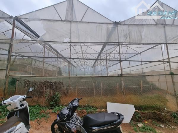 Cần bán đất xây dựng Thái Phiên P12 TP ĐÀ LẠT