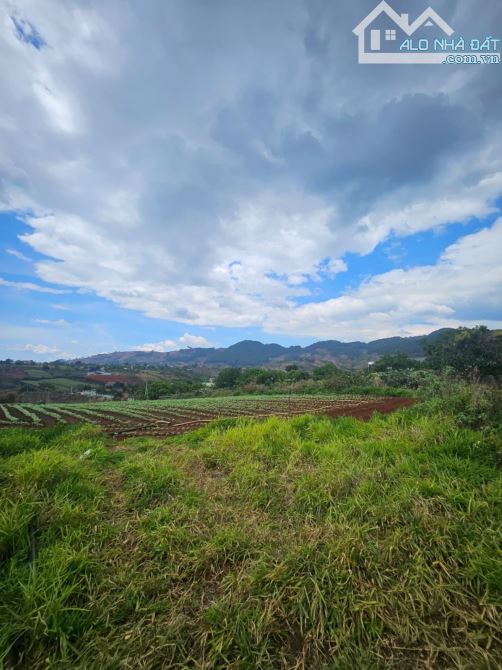 CẦN BÁN ĐẤT XÂY DỰNG TẠI TÀ NUNG TP ĐÀ LẠT