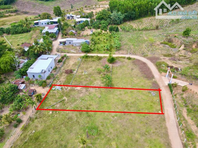 Bán đất Khánh Đông đường thông sát bên Tỉnh Lộ 8
