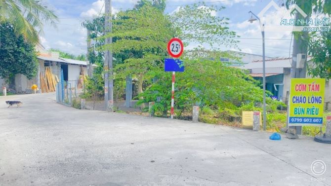 Bán đất  243 m2 thổ cư đường Trương Vĩnh Nguyên - 11