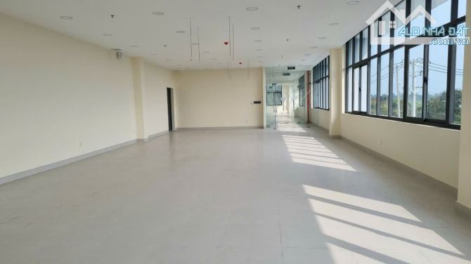 Cho thuê kho xưởng 16.000m2 KCN Tân Đức – Tân Đô – Hải Sơn, Long An - 1