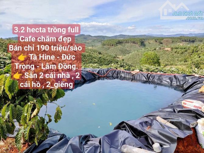 Bán đất trang trại nông nghiệp ở Tà Hin, Đức Trọng, Lâm Đồng - 1