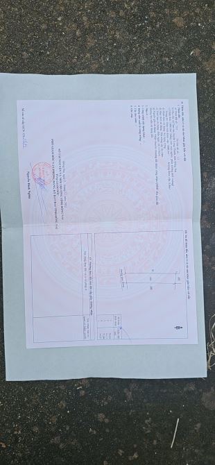 Bán 1 sào tam an giá cực kì mềm chỉ 2 ty2 cả lô - 1