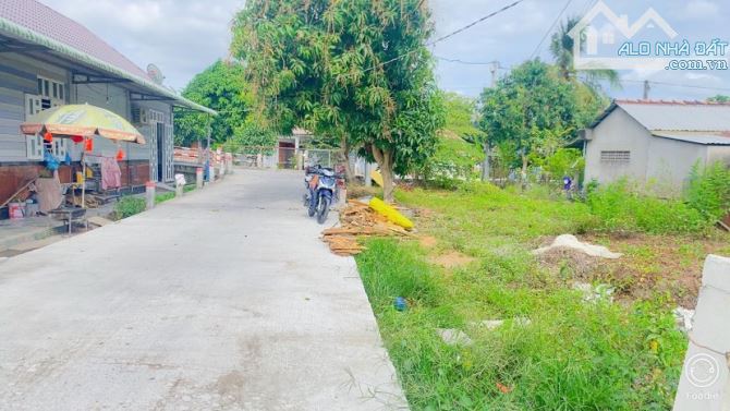 Bán đất  243 m2 thổ cư đường Trương Vĩnh Nguyên - 12