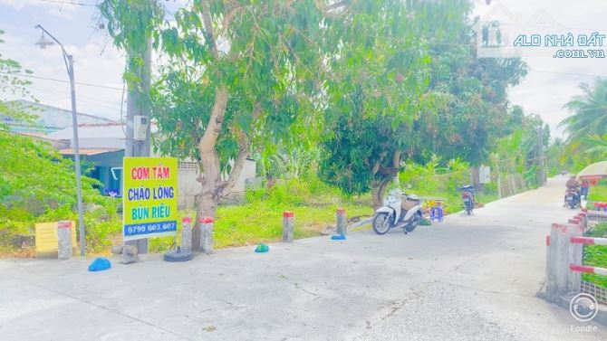 Bán đất  243 m2 thổ cư đường Trương Vĩnh Nguyên - 2