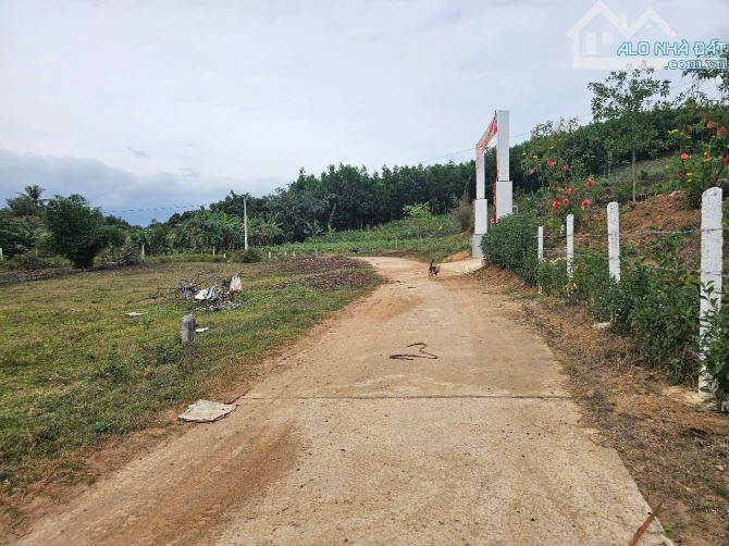Bán đất Khánh Đông đường thông sát bên Tỉnh Lộ 8 - 5