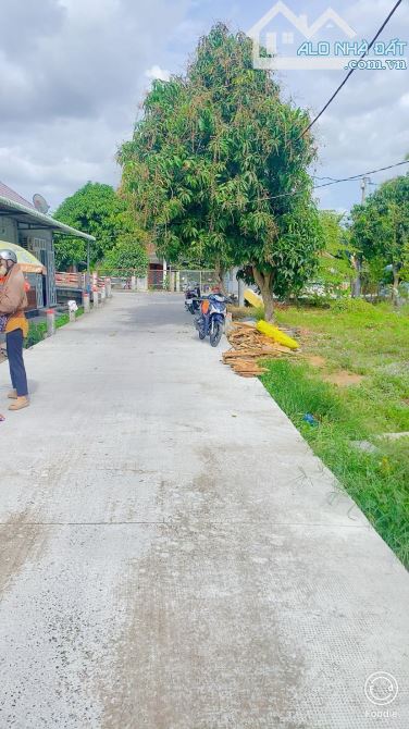 Bán đất  243 m2 thổ cư đường Trương Vĩnh Nguyên - 5