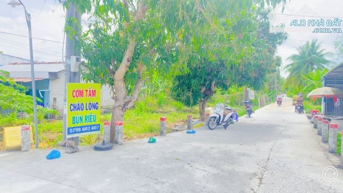 Bán đất  243 m2 thổ cư đường Trương Vĩnh Nguyên - 9