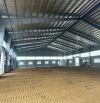 Cho thuê nhà kho và xưởng độc lập dt 100.000m2 giá 3,8$/m2/tháng tại CCN Hưng Yên.