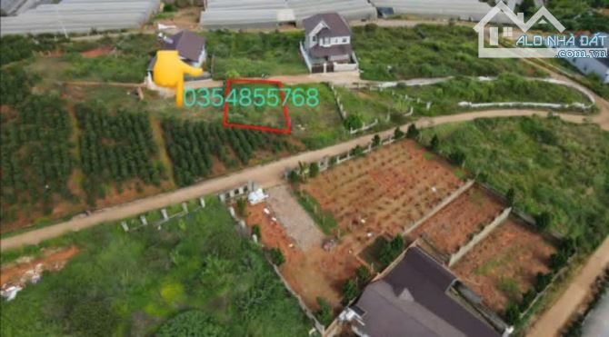 Cần bán 206m đất xân thọ thành hố đà lạt