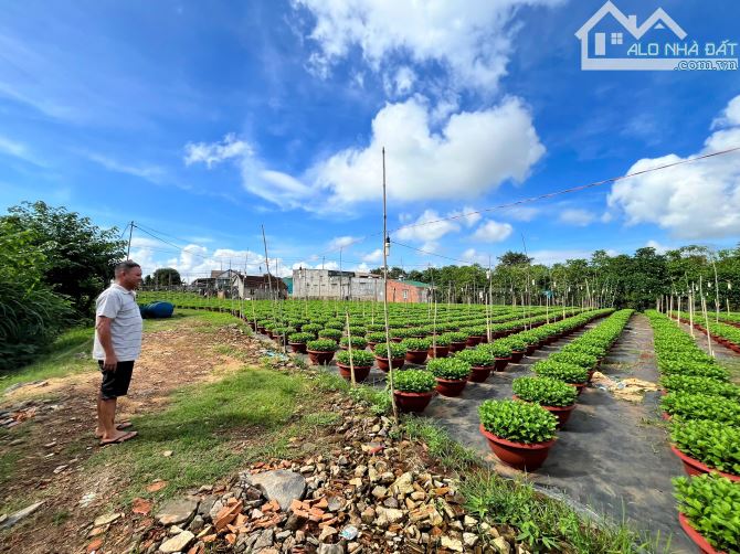 Bán đất 4.369m² (300m² thổ cư)  gần Hồ Giò Gà, Tp.BMT thích hợp nghỉ dưỡng