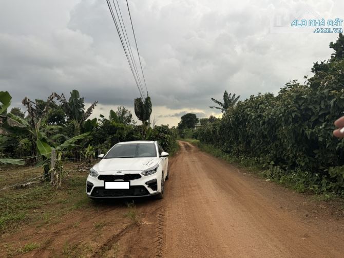 🔥🔥Đất vườn tại Xã Đinh Trang Hoà, Di Linh giá tốt 1,65 tỷ, DT 3462m2 đất có suối đẹp