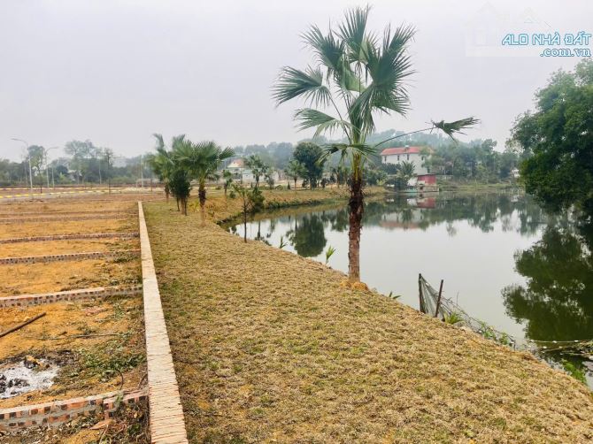 Bán lô siêu phẩm Tân Phúc Sơn Đông view hồ view suối đường ôtô tránh 65m nhỉnh 2tỷ - 1