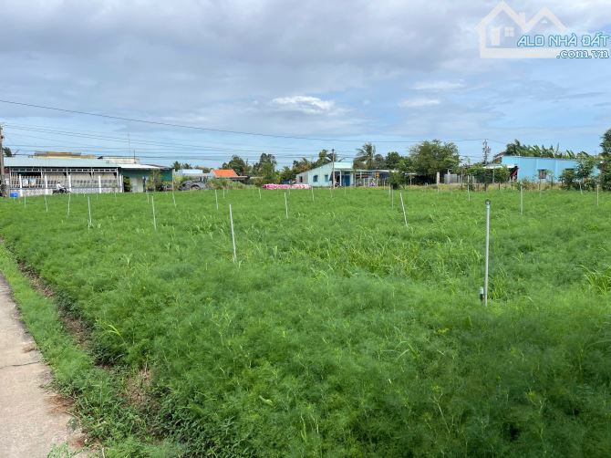 B.á.n nhanh 1,5 công đất đẹp, 2 mặt tiền nhựa HL07, Tân Thành, Gò Công Đông, Tiền Giang. - 1