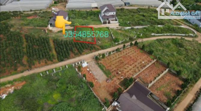 Cần bán 206m đất xân thọ thành hố đà lạt - 1