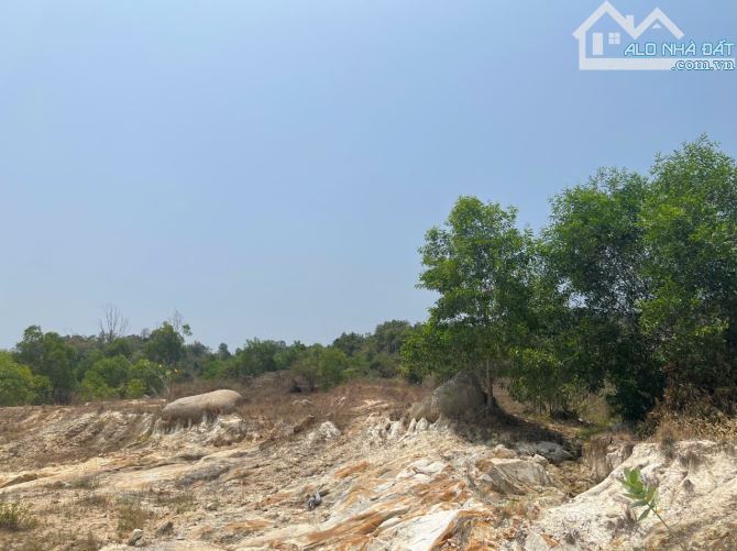 Cần bán gấp 6,8ha đất cln Cam Phúc Bắc, Cam Ranh giá rẻ - 1