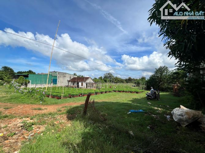 Bán đất 4.369m² (300m² thổ cư)  gần Hồ Giò Gà, Tp.BMT thích hợp nghỉ dưỡng - 1