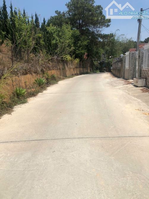 Bán đất biệt thự khu Đông Tĩnh phường 8 thành phố Đà Lạt - 1
