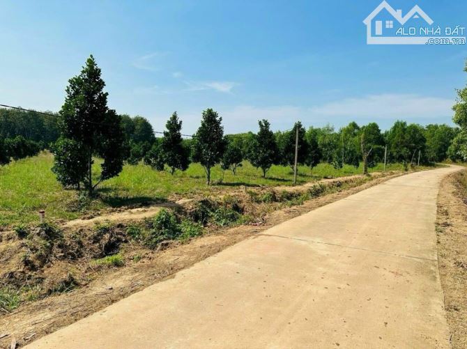 NỢ Ngân hàng Bán Gấp 1050m2 đất  đỏ  gần  thị xã Bình Long  giá 300 triệu, sổ hồng - 1