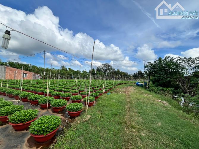 Bán đất 4.369m² (300m² thổ cư)  gần Hồ Giò Gà, Tp.BMT thích hợp nghỉ dưỡng - 2
