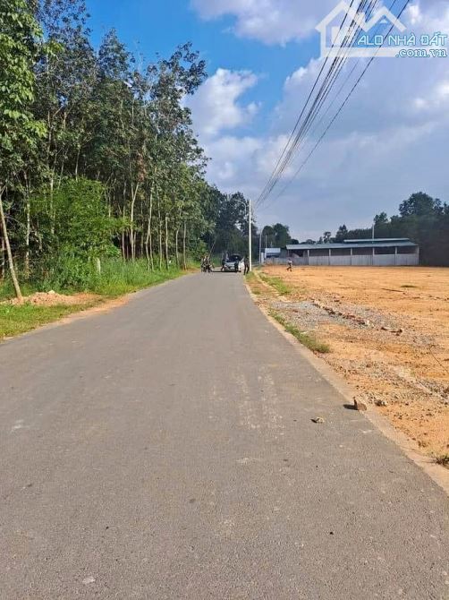 NỢ Ngân hàng Bán Gấp 1050m2 đất  đỏ  gần  thị xã Bình Long  giá 300 triệu, sổ hồng - 2