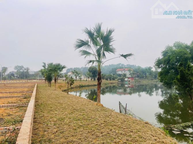 Bán lô siêu phẩm Tân Phúc Sơn Đông view hồ view suối đường ôtô tránh 65m nhỉnh 2tỷ - 3