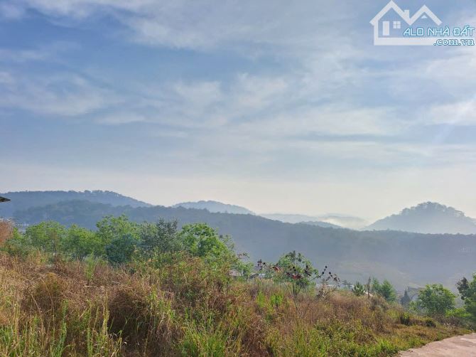 963m2 đất thổ cư , view dăn mây, rừng thông, gần Ql. Tại Xuân thọ - Đà Lạt. Giá 11,9 tỷ Tl - 3