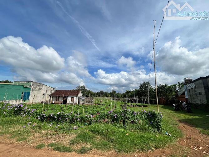 Bán đất 4.369m² (300m² thổ cư)  gần Hồ Giò Gà, Tp.BMT thích hợp nghỉ dưỡng - 4