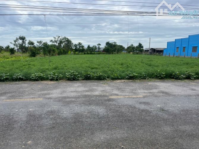 B.á.n nhanh 1,5 công đất đẹp, 2 mặt tiền nhựa HL07, Tân Thành, Gò Công Đông, Tiền Giang. - 5