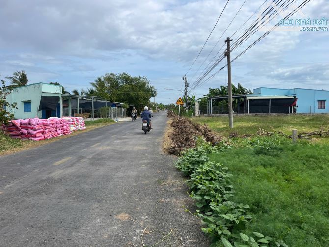 B.á.n nhanh 1,5 công đất đẹp, 2 mặt tiền nhựa HL07, Tân Thành, Gò Công Đông, Tiền Giang. - 6
