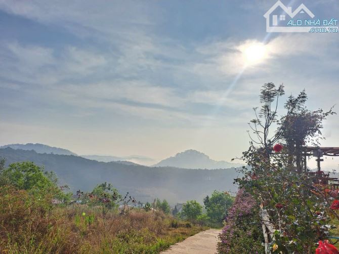 963m2 đất thổ cư , view dăn mây, rừng thông, gần Ql. Tại Xuân thọ - Đà Lạt. Giá 11,9 tỷ Tl - 8