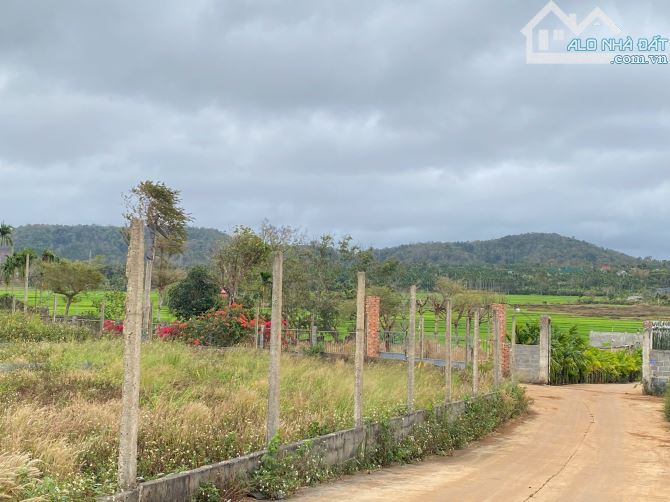 💥  Bán Đất 3 Mặt Tiền Gần Đại Lộ Đông Tây BMT. Gần 3 Sào. Thổ Cư 800m2. 27,9 TỶ