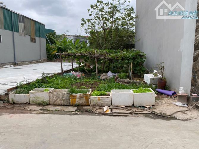 🏡 BÁN 80M ĐẤT PHÂN LÔ TẠI THƯỢNG CÁT- Ô TÔ TRÁNH - VỊ TRÍ ĐẸP TUYỆT VỜI!