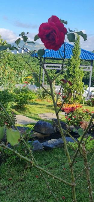 BÁN BIỆT PHỦ SÂN VƯỜN 1000m2_MẶT TIỀN 16m_ĐƯỜNG 15M_NỘI THẤT HIỆN ĐẠI, XÔNG HƠI_5.98TỶ - 12