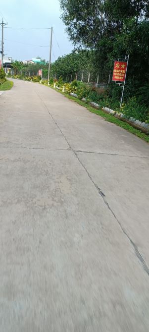Giá cực rẻ 8,5 tỷ. Bán nhà vườn bưởi 6600m hiện đang thu hoạch tốt xã Bình Lợi, Vĩnh Cữu. - 5