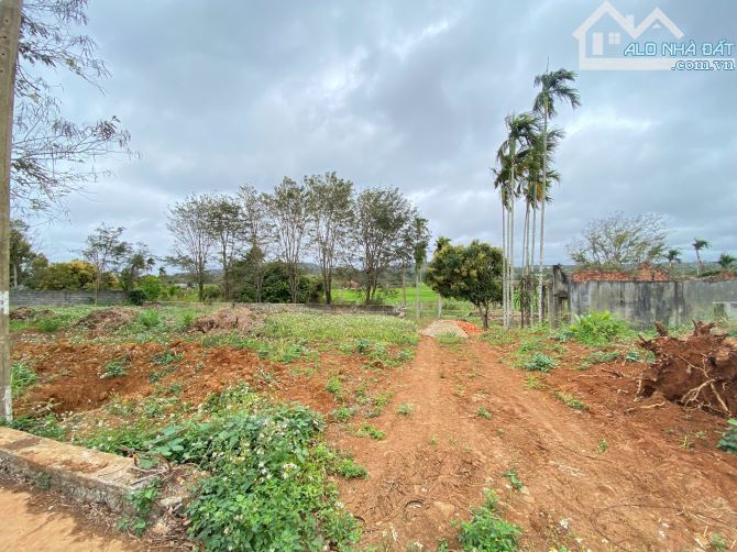 💥  Bán Đất 3 Mặt Tiền Gần Đại Lộ Đông Tây BMT. Gần 3 Sào. Thổ Cư 800m2. 27,9 TỶ - 5