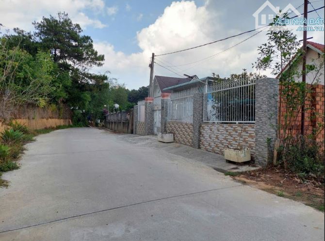 CẦN BÁN ĐẤT BIỆT THỰ KHU ĐÔNG TĨNH PHƯỜNG 8 THÀNH PHỐ ĐÀ LẠT.